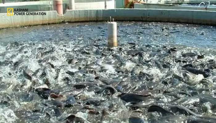 دیزل ژنراتور برای مزارع پرورش ماهی